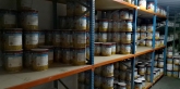 Pinturas Centeno