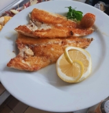 La Cervecería San José Pintor Oliva