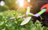 Mantenimiento de jardines H&I