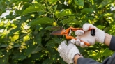 Mantenimiento de jardines H&I