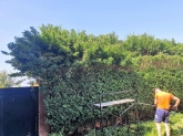 Mantenimiento de jardines H&I