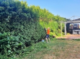 Mantenimiento de jardines H&I