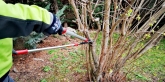 Mantenimiento de jardines H&I