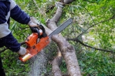 Mantenimiento de jardines H&I