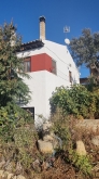 Pinturas de Castilla