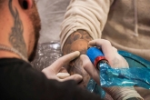 Royal Ink tattoo