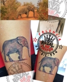Royal Ink tattoo