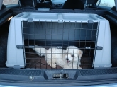 Viaje Mascota