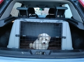 Viaje Mascota