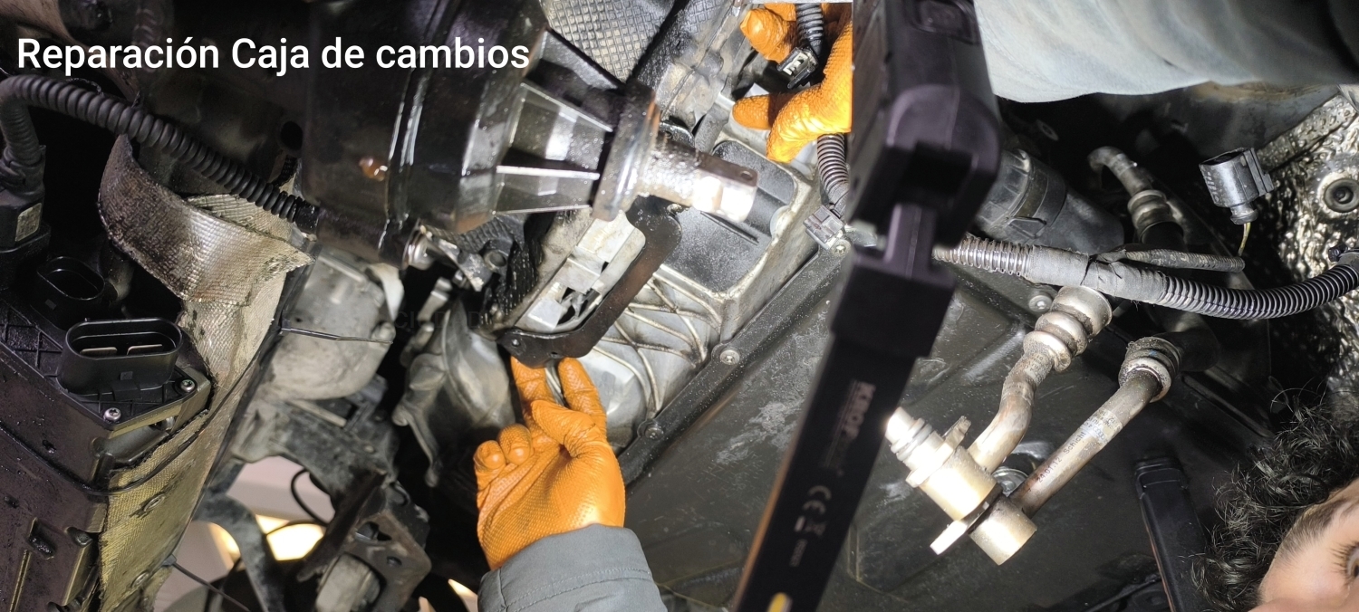 Reparacion transmisiones Palencia