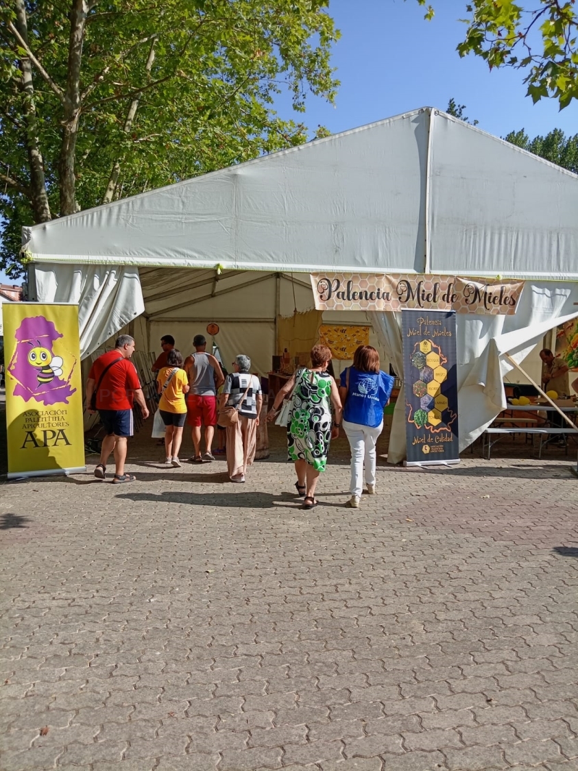 Palencia miel de mieles