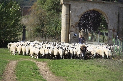 Tablares: un referente en sostenibilidad agraria y medioambiental