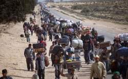 El Consejo Municipal de Cooperación Internacional define el Plan de Acogida a Refugiados en la ciudad