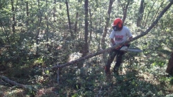 La Diputación inicia en la Finca Dehesa de Tablares una nueva acción mixta para formar y emplear en materia de explotación forestal