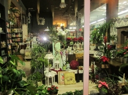 Sánchez Arte Floral se alza con el primer premio del Concurso de Escaparates Navideños 2015