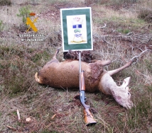 La Guardia Civil sorprende a un hombre, cazando sin Licencia de Caza y sin autorización del titular del Coto, en Castrejón de la Peña