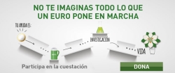 La AACC de Palencia inicia hoy las cuestaciones para obtener recursos en su lucha contra el cáncer