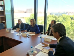 La presidenta de la Diputación, Ángeles Armisén, presidió la primera reunión de la Comisión de Sanidad, Familia e Igualdad de Oportunidades de la FRMP