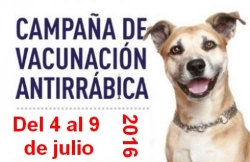 El ayuntamiento inicia el próximo día 4 la campaña de vacunación antirrábica e identificación canina