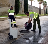 Un total de 116 ayuntamientos palentinos se beneficiarán de las ayudas de la Diputación para acometer labores de desratización y desinsectación