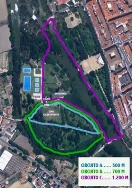 Sotillo y Huertas del Obispo acogerán el XXIII Cross PMD-Campeonato Local Escolar el próximo 20 de noviembre