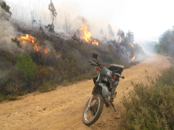 La Guardia Civil en Castilla y León, ha detenido a 10 personas por delito de incendio forestal y ha formulado 104 denuncias administrativas.