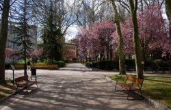Publicadas las bases del concurso de ideas para la rehabilitación del Parque de Los Jardinillos