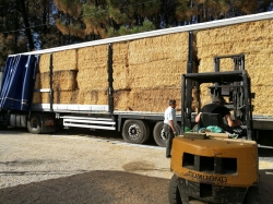 Un palentino dona 16 toneladas de paja a los afectados por los incendios en Galicia