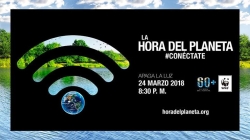 Palencia se sumará una vez más a 'La Hora del Planeta' promovida por WWF apagando la iluminación de los principales edificios históricos