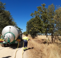 La Diputación planta más de 1.500 árboles en el Camino de Santiago