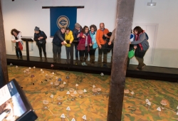 Diputación de Palencia hace un balance muy positivo de la visita a sus recursos turísticos durante estas Navidades