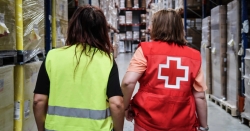 El Fondo Social Europeo renueva el apoyo a Cruz Roja, lo que permitirá invertir en Empleo 280 millones de euros