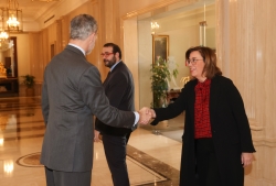 La Presidenta de la Diputación recibida por el Rey Felipe VI