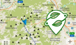 Mapas sin conexión como alternativa a google maps