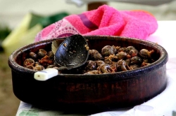 Abierto el plazo de inscripción hasta el 18 de abril para participar en el concurso de caracoles de la Romería de San Marcos