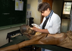 Alrededor de 40 piezas de arte de la provincia se recuperarán hasta el mes de agosto