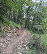 La Diputación de Palencia abre el plazo para la presentación del proyecto- diseño de construcción de tres circuitos de Trail de descenso MTB