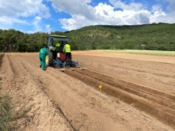 El Geoparque Las Loras sigue adelante en su apuesta por promover el cultivo de patata de siembra ecológica