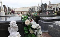 Nuevo reglamento regulador del servicio municipal de cementerio del Ayuntamiento de Palencia