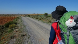 La Diputación de Palencia impulsa un curso online destinado a empresarios y emprendedores turísticos del Camino de Santiago