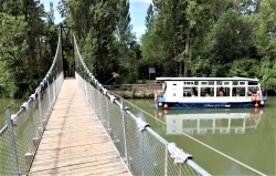 “Turismo con pé” en Palencia, el mejor   plan para desconectar de la rutina y vivir experiencias inolvidables