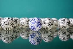 Bingo tradicional vs. bingo online: todo lo que tienes que saber