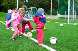 Deportes en Palencia: un verano activo y diverso
