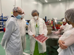 La Diputación de Palencia convoca las ayudas al tejido empresarial que gracias al ‘Plan +10’ casi alcanzará los 2,2 millones