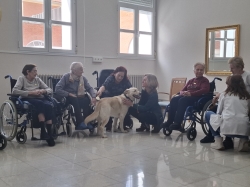 La Residencia de Mayores de San Telmo, dependiente de la Diputación de Palencia, incluye entre sus actividades la Terapia Canina