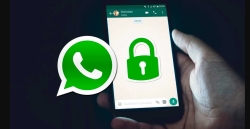 Ajustes de Whatsapp que te protegerán