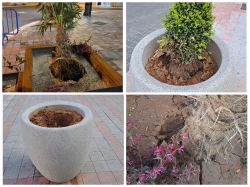 El Ayuntamiento apela al civismo para evitar los destrozos causados en la nueva vegetación del centro de la ciudad