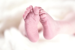 La primera resolución de las ayudas a la natalidad de la Diputación de Palencia reparte más de 38.000 euros a 70 familias