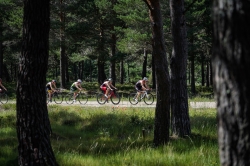 Este domingo vuelve el circuito provincial "Diputación de Palencia" de BTT con la prueba "Pisoraka" en Herrera de Pisuerga