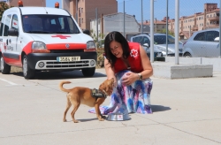 Conservación de medicamentos, trabajo al aire libre y cuidado de mascotas, nuevos focos de atención de Cruz Roja Española